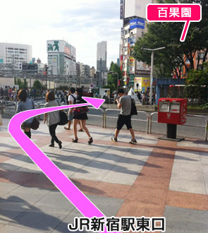 左前方に進むとすぐに小さな横断歩道があるので、右に渡ります