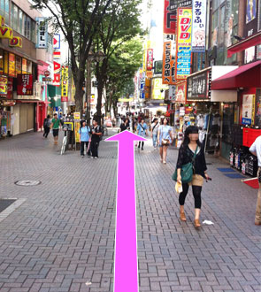 途中に十字路がありますが無視してまっすぐ